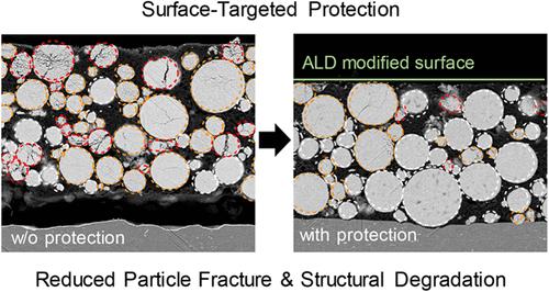 Breaking the Cycle of Heterogeneous Degradation: Surface-Targeted Protection for Ni-Rich Cathodes in Practical High-Energy Batteries