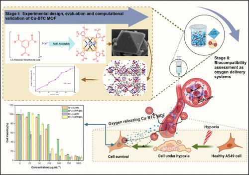 Copper-Based Metal–Organic Framework as a Potential Therapeutic Gas Carrier: Optimization, Synthesis, Characterization, and Computational Studies