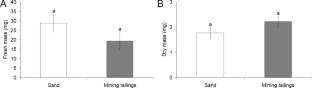 Iron mining tailing toxicity is increased by lower pH affecting lettuce seed germination, seedling early growth, and leaf anatomy