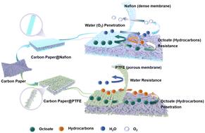 Electrochemical decarboxylation of medium-chain fatty acids into hydrocarbons controlled by the polymer coatings on carbon-based electrodes†
