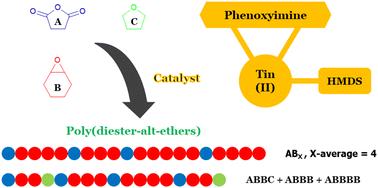 Heteroleptic phenoxyimino tin(ii) bis(trimethylsilyl)amides for the synthesis of poly(diester-alt-ethers) from cyclohexene oxide and succinic anhydride†