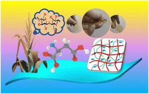 A sustainable, high ionic conductivity, semi-interpenetrating double-network ionogel film composed of phosphorylated corn straw-derived cellulose and polyaspartamide derivatives†