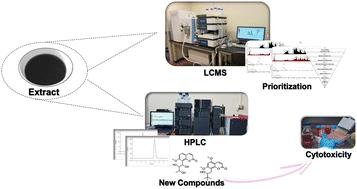 Combined prioritization and dereplication-based rapid identification of new 8-alkylated coumarins: podurins A and B from the leaves of Murraya paniculata and cytotoxic evaluation†‡