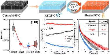 Tuning photoelectric conversion in hybrid perovskites by thermal cycling†