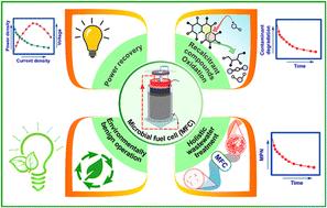 Catalysing holistic wastewater treatment, electricity generation, and emerging contaminant removal in a pre-pilot Fenton-microbial fuel cell†