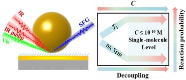 Single-molecule-level detection of interfacial molecular structures and ultrafast dynamics†
