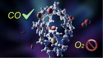 Unusually air-stable copper(i) complexes showing high selectivity for carbon monoxide†