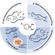 Phenylboronic acid-modified nanoparticles for cancer treatment