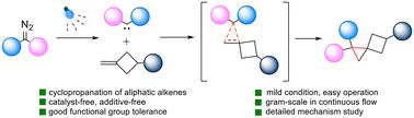 Photoinduced synthesis of functionalized spiro[2.3]hexane via an additive-free approach†