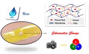 Development of colorimetric PEG-based hydrogel sensors for urea detection†