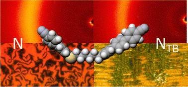 Sulfur-linked cyanoterphenyl-based liquid crystal dimers and the twist-bend nematic phase†