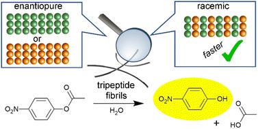 Racemic peptide assembly boosts biocatalysis†