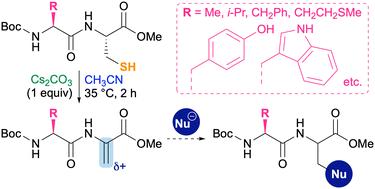 Direct and chemoselective transformation of cysteine to dehydroalanine on peptides†