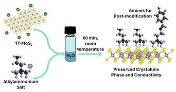 Supramolecular electrostatic functionalization of 1T-MoS2 based on alkylammonium salts†