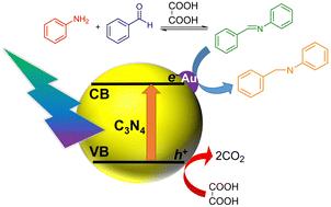 Bi-functionality of organic acids as acid catalysts and a hydrogen source for one-pot production of secondary amines from primary amines and aromatic aldehydes over an Au–C3N4 photocatalyst†