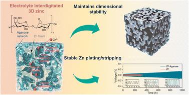 Gel electrolyte interdigitation enables stable high areal capacity cycling of the 3D Zn electrode†