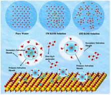 Revealing the hydrogen bond network effect at the electrode–electrolyte interface during the hydrogen evolution reaction†