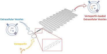Abstract Image