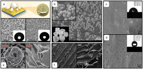 Emerging Trends in Bioinspired Superhydrophobic and Superoleophobic Sustainable Surfaces