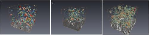 Quantitative characterization of permeability heterogeneity of tight-sand reservoirs using nano-CT technology: A case study of the Yanchang Formation, Ordos Basin
