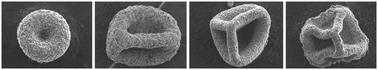 Evaporation driven buckling of a drop laden with graphene oxide nanosheets†