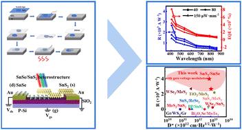 High-performance visible-to-near infrared phototransistor based on SnSe/SnS2 van der Waals heterostructure†