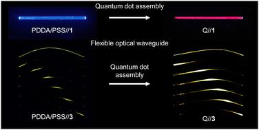 Flexible organic crystal-quantum dot hybrids with adjustable waveguides†