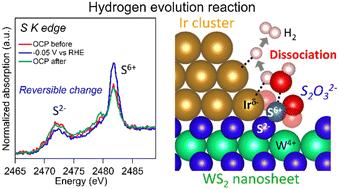 Thiosulfate species promoting hydrogen evolution reaction at the heterointerface of Ir clusters-loaded WS2 nanosheets†