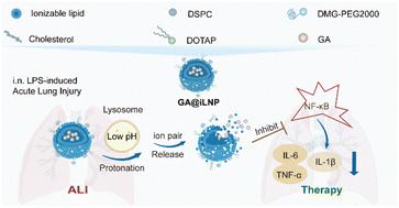 Ionizable lipid nanoparticles enhance lung delivery of gold nanoclusters for improving acute lung injury alleviation†