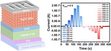 A self-powered HgTe quantum dots/PBDB-T:Y6 bipolar broadband photodetector for logic gates†