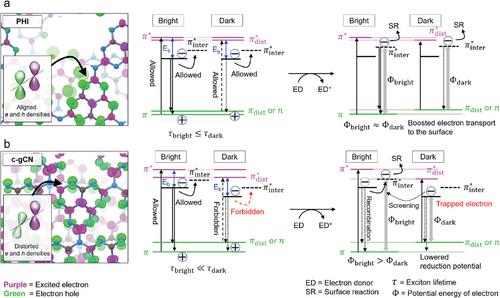 Structural Influence on Exciton Formation and the Critical Role of Dark Excitons in Polymeric Carbon Nitrides