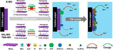 Ammonium-preintercalated layered manganese oxide with single-phase intercalation chemistry and enhanced two-electron reaction in aqueous zinc-ion batteries†