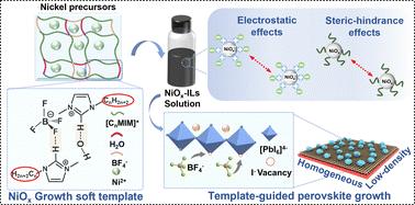 Regulation of crystallization by Introducing a multistage growth template affords efficient and stable inverted perovskite solar cells†