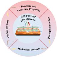 Self-powered photodetector of GaN/Sc2CCl2 heterojunction with high carrier mobility and polarization sensitivity