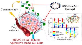 Poly[(N-acryloyl glycine)-co-(acrylamide)]-induced cell growth inhibition in heparanase-driven malignancies†