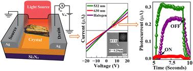 Investigating the visible range photoresponse of an organic single-crystal analogue of the green fluorescent protein
