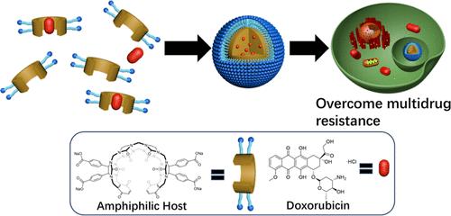 Amphiphilic Acyclic Cucurbit[n]uril: Synthesis, Self-Assembly, and Chemotherapeutic Delivery to Overcome Multidrug Resistance