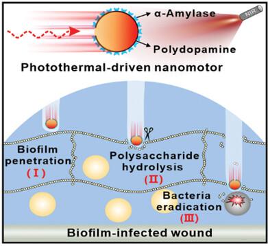 Photothermal-Driven α-Amylase-Modified Polydopamine Pot-Like Nanomotors for Enhancing Penetration and Elimination of Drug-Resistant Biofilms