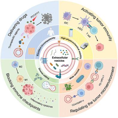 Extracellular Vesicle-Based Antitumor Nanomedicines
