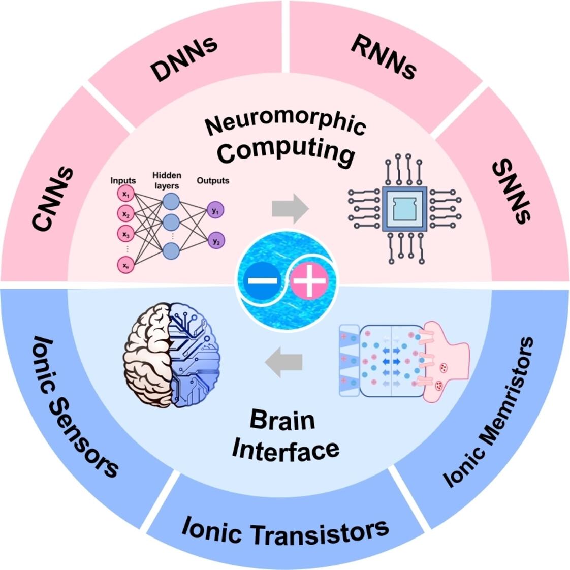 Ionic Device: From Neuromorphic Computing to Interfacing with the Brain