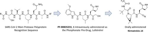 Discovery of Nirmatrelvir (PF-07321332): A Potent, Orally Active Inhibitor of the Severe Acute Respiratory Syndrome Coronavirus 2 (SARS CoV-2) Main Protease