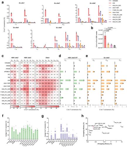 Engineering of Peptide-Inserted Base Editors with Enhanced Accuracy and Security