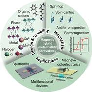 Engineering magnetism in hybrid organic–inorganic metal halide perovskites