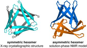 A β-hairpin peptide derived from Aβ forms different oligomers in the crystal state and in aqueous solution†