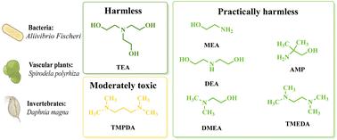 Ecotoxicity risk assessment of amines used in ‘switchable water’ and CO2-capturing processes†