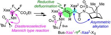 Diastereoselective synthesis of (Z)-fluoroalkene dipeptide isosteres utilizing chiral auxiliaries†