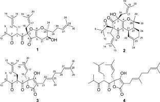 Meroterpenes and prenylated acylphloroglucinol from the aerial parts of Hypericum erectum
