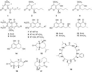 Potential α-glucosidase inhibitors from cultures of Biscogniauxia capnodes SWUF15-40 fungus