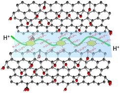 Enhanced proton conductivity from phytic acid-intercalated three-dimensional graphene oxide†