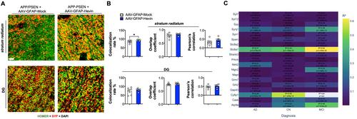 Astrocytic Hevin/SPARCL-1 Regulates Cognitive Decline in Pathological and Normal Brain Aging